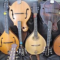 mandolins-various-styles-one-picture